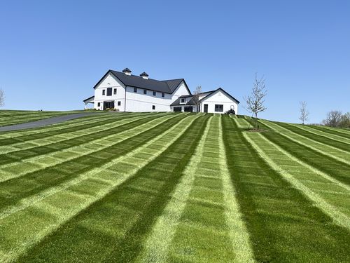 Customer photo review of GCI Turf Spreader Elite Grass Seed