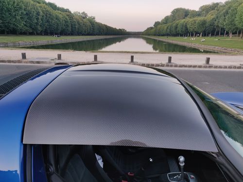 Customer photo review of Lotus Carbon Fibre Hardtop