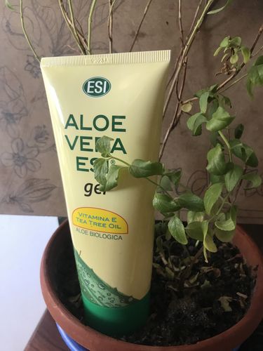 Customer photo review of GEL ALOE VERA TEA TREE ET VITAMINE E