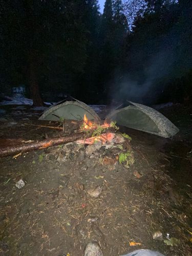 Customer photo review of 5 Pack Special