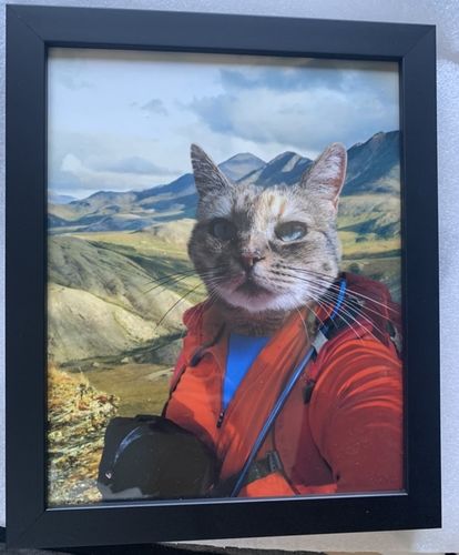 Customer photo review of The Hiker - Custom Pet Portrait