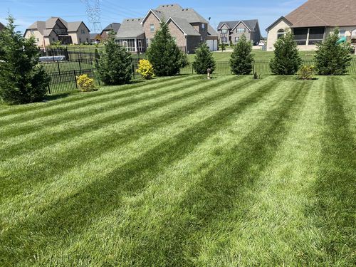 Customer photo review of N-Ext GreeneKick 0-0-25