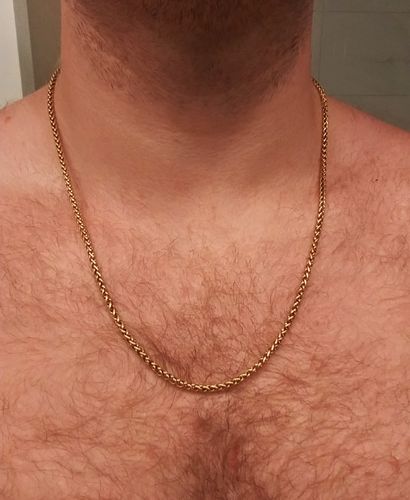 Customer photo review of Wheat Chain - Gold