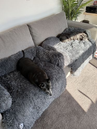 Customer photo review of Calming Couch Bed