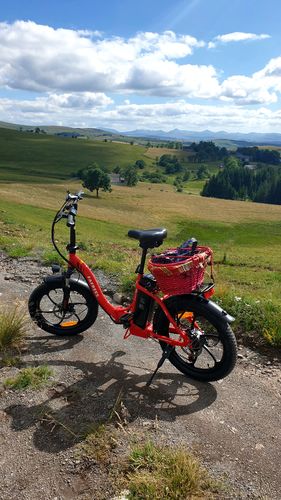 Customer photo review of Fafrees F20 20 inch 250W Folding Step-through Electric Bike 36V 15AH 25km/h 120km
