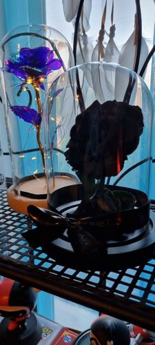 Customer photo review of Black Mini Rose Dome