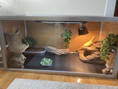 Customer photo review of 4'x2'x2' Original Wood Panel Reptile Enclosure