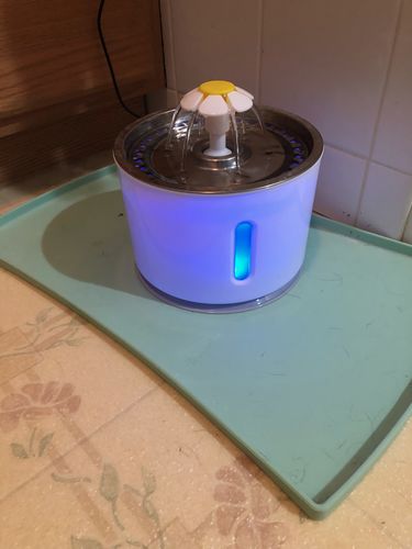 Customer photo review of Cat Flower Fountain Replacement Filters - 4 Pack