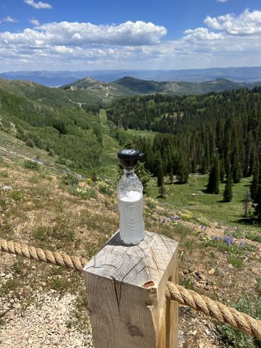 Customer photo review of After Work Recovery