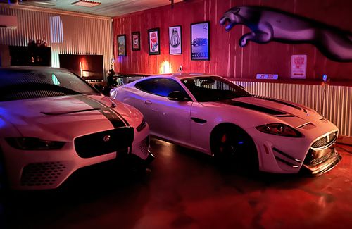 Customer photo review of LED Color Changing Light — LitLamp™