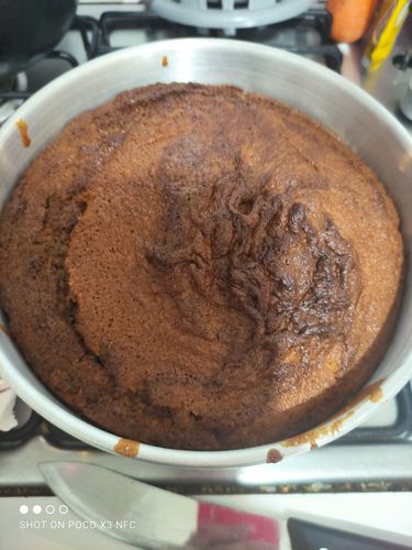 Customer photo review of Horno Freidora De Aire Renahouse 12 Litros