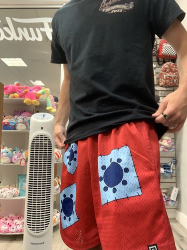 Customer photo review of Mesh Shorts - Luffytaro