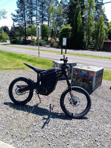 Customer photo review of Talaria Sting