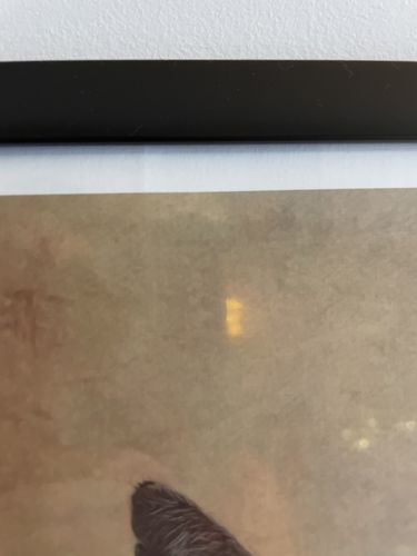 Customer photo review of The Baron - Custom Vintage Pet Portrait
