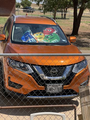 Customer photo review of M&M Chocolate Band Car Auto Sun Shades Car Accessories Decoration 211301