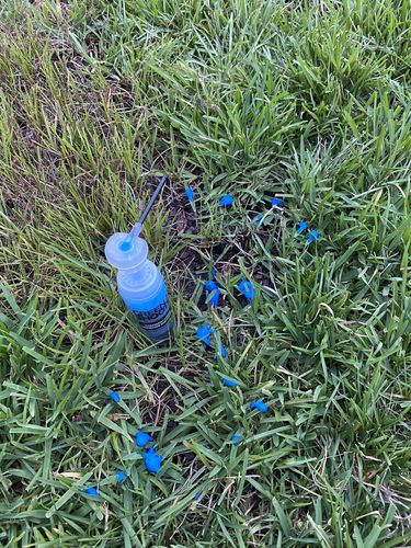 Customer photo review of Foam Herbicide Applicator