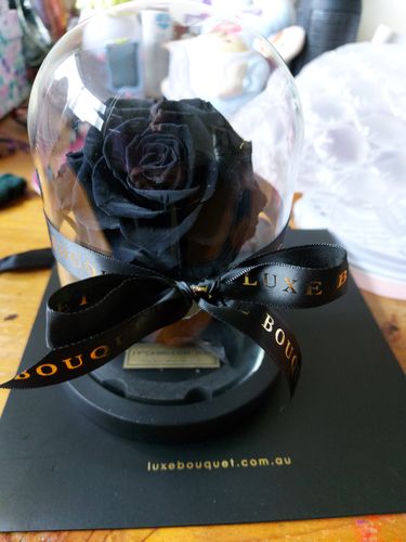 Customer photo review of Mini Everlasting Rose - Black