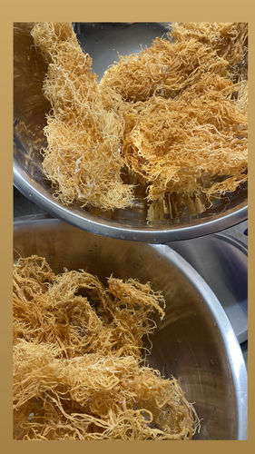 Customer photo review of Wholesale Sea Moss