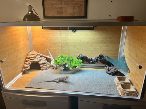 Customer photo review of 4'x2'x2' Meridian Wood Panel Reptile Enclosure