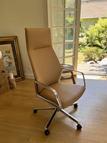 Customer photo review of M75 Active Chair