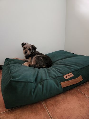 Customer photo review of Funda Modelo Origen Verde Botella