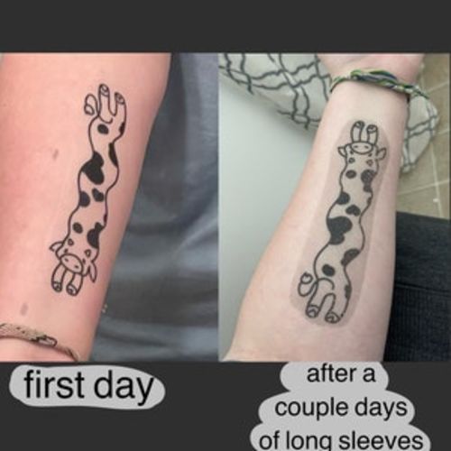 Customer photo review of Long Wiggly Cow Temporary Tattoo