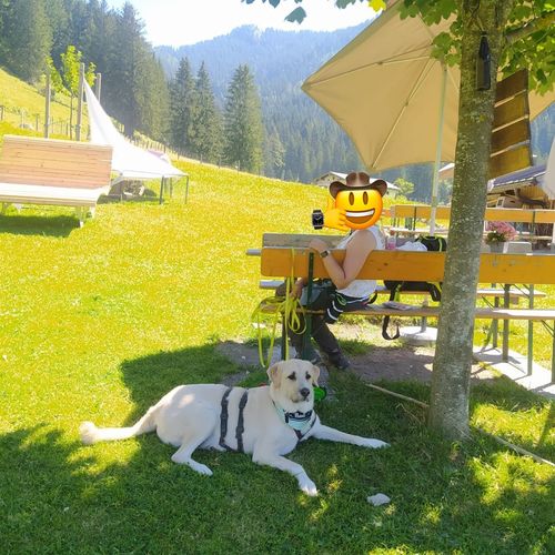 Kundenbewertung mit Foto zu BELISY RUHE Bachblüten Globuli für Hunde & Katzen - 10g