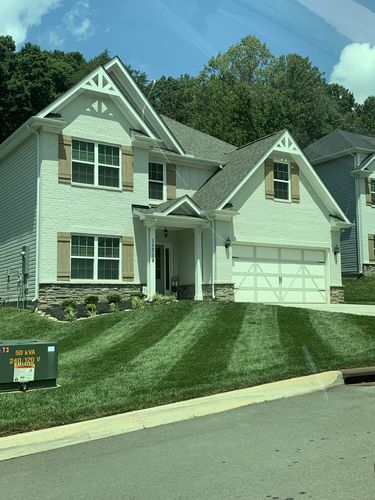 Customer photo review of Propiconazole 14.3%