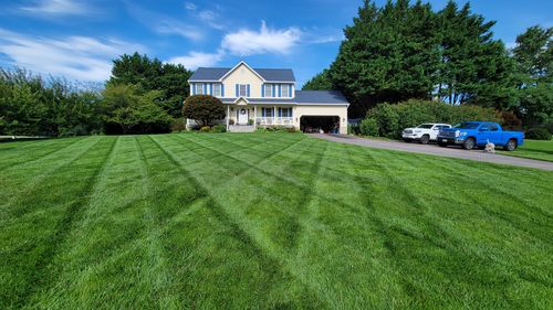 Customer photo review of Imidacloprid 2F