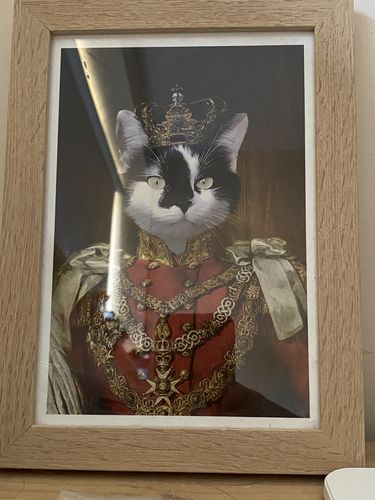 Customer photo review of The Prince - Custom Vintage Pet Portrait