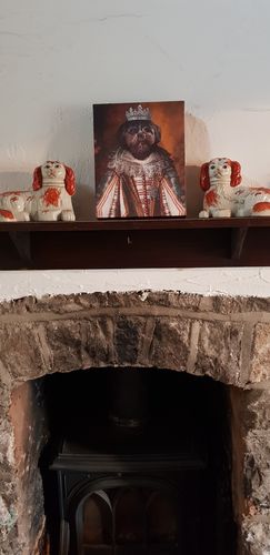 Customer photo review of The Queen – Custom Vintage Pet Canvas