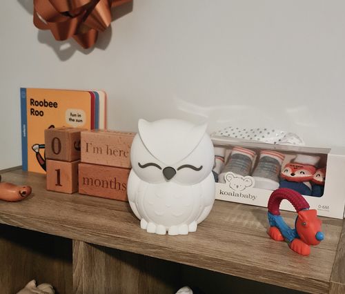 Customer photo review of Lil Dreamers Owl Night Light