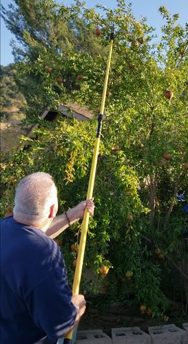 Customer photo review of Telescoping Pole Saw 12' Fiberglass Pole