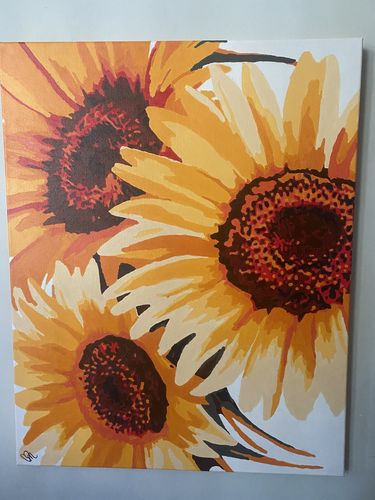 Customer photo review of Bloom