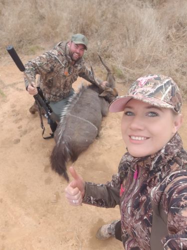 Customer photo review of Glow & Gold Collagen Starter Kit