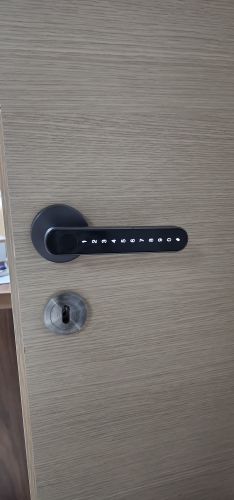 Customer photo review of 2022 New Door Lock Door Knob with Keypad Keyless Entry Door