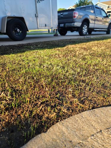Customer photo review of GCI Turf Spreader Elite Grass Seed