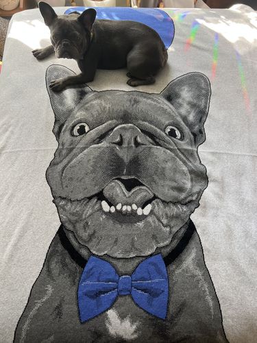 Customer photo review of Full-Body Pet Custom Sweater