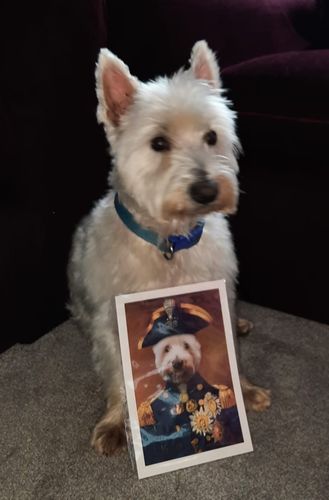 Customer photo review of Lord Nelson - Custom Vintage Pet Portrait