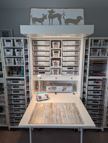 Customer photo review of InView™ Tote Lid