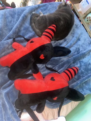 Customer photo review of Bunny Plush Backpack 20" (RED/BLACK)