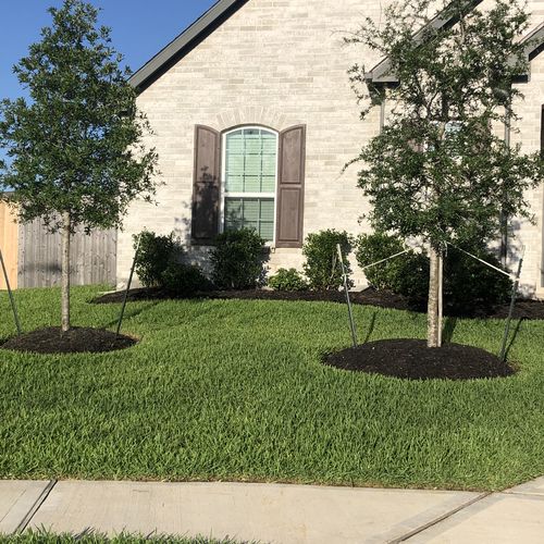 Customer photo review of Protene Hybrid Summer Fertilizer 6-0-0 +14% Fe