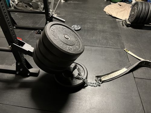 Customer photo review of Belt squat attachment