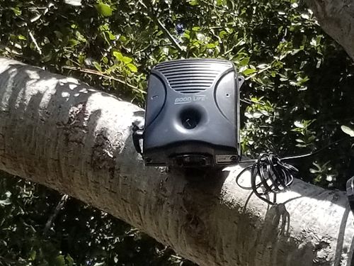 Customer photo review of Dog Silencer® MAX