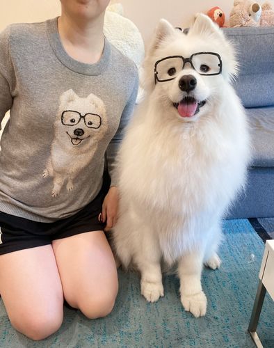 Customer photo review of Full-Body Pet Custom Sweater
