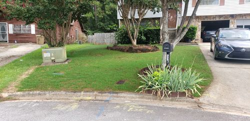 Customer photo review of GCI Turf Cool Blue Grass Seed