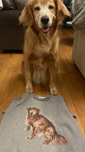 Customer photo review of Full-Body Pet Custom Sweater
