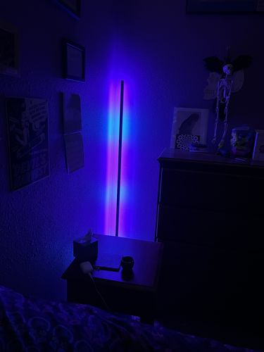 Customer photo review of LED Color Changing Light — LitLamp™
