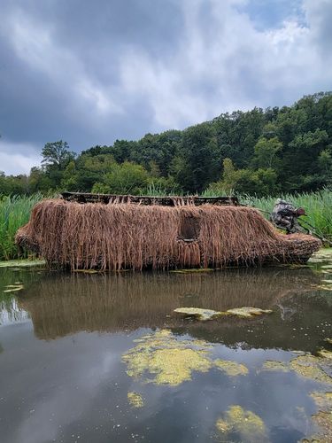 Customer photo review of Hunting Blind Raffia Grass (Pack)