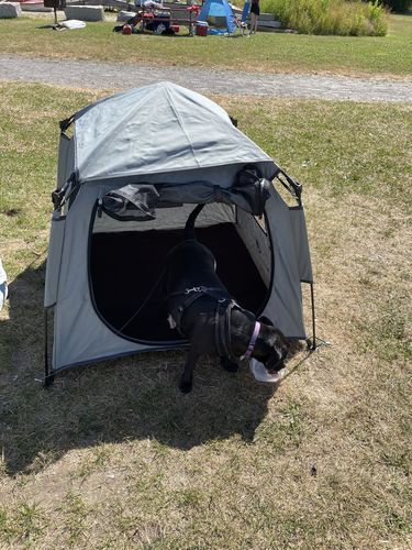 Customer photo review of Pop N' Go® Pets